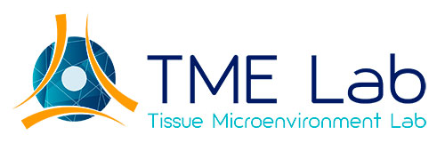 TME Lab Logo